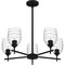 Quoizel Lucy Chandelier 5 Lights Matte Black LCY5025MBK - alternate 4